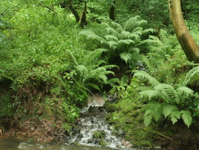 Waterfall In The Grounds Of The Granary